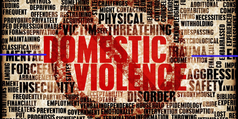 “A House Where a Woman is Not Safe Is Not a Home” – Case Study of a Survivor of Domestic Abuse