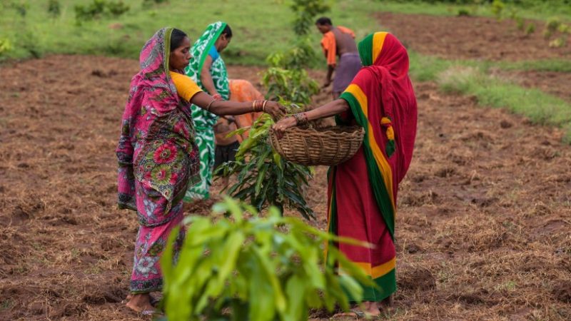 Taking Charge! Women lead the Agricultural Sector in India